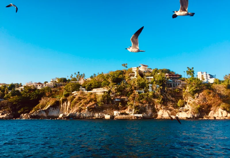 Acapulco-Guerrero